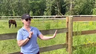 The Horse to Human Relationship (A short documentary)