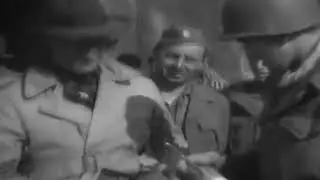 How Did Allied Soldiers Use Delousing After the Liberation of the Camps?