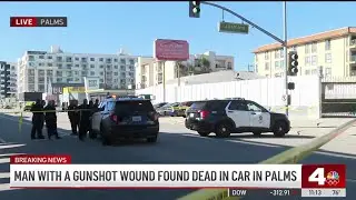 Man fatally shot inside car in Palms parking lot