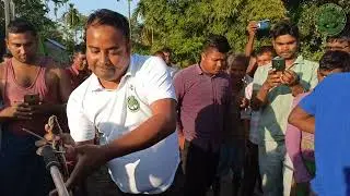 Python Rescued From Bamboo Plant...🙏🙏🙏