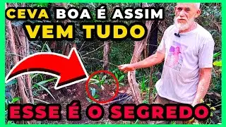 🔴CEVA PARA TODA CAÇA QUAL O SEGREDO PARA FAZER UMA CEVA FICAR BOA PARA QUALQUER CAÇA|CAÇADOR EXPLICA