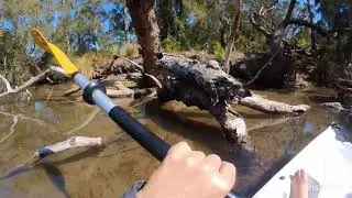 Kayaking  in the Tomaga River, NSW