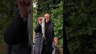 Angelerlebnis unglaublicher Fang#Angeln #Steinfeld#Lachsforelle#Sbirolino#Forelle#Fishing#BissAlarm