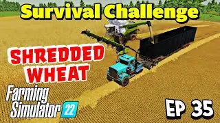 Shredding all the Wheats | NML Survival Challenge | Farming Simulator 22  #35