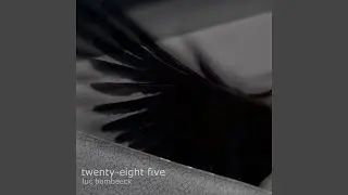 twenty-eight five