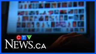 Deep fake scam videos target seniors