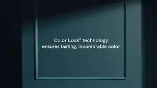 AURA&reg; Interior Paint   Benjamin Moore 1080