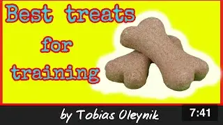 What are the best treats for Schutzhund /IGP training?