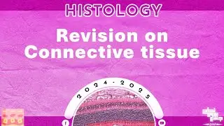Revision of L 16,17: Connective tissue; Histology