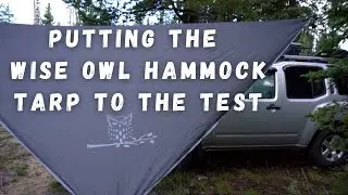 Wise Owl Tarp Rain Test in Hilary's Aftermath