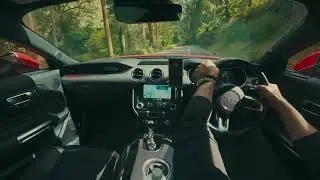 V8 Echoes Through the Dandenong Ranges | Mustang GT Pure Exhaust Sound