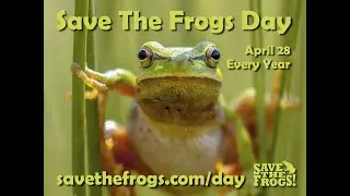 Save The Frogs Day 2023 Message from Illinois - Dr. Kerry Kriger