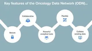 An introduction to Healthcare Provider Analytics from the Oncology Data Network