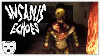 The Insanity Goes Round and Round In This Asylum | Insanis Echoes