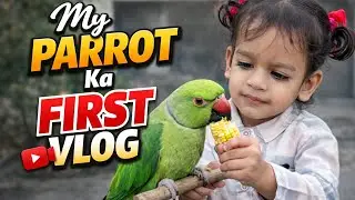 Baby Aur Parrot Ki Cute Dosti 🥰 | My Parrot First Vlog @CarryMinati @MrBeast 