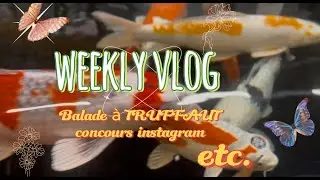 🍀Weekly vlog 🍀 balade en jardinerie, concours insta ect.