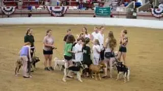Tompkins County Tail Wagers 4H  K-9 Drill Team 2013 Grand Champions