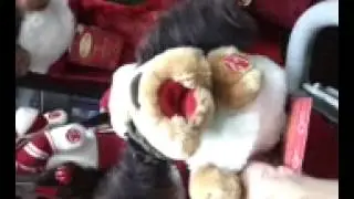 Puppy Stocking