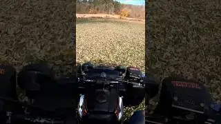 Big Guy goes FULL SEND on ALPHA Cub 350 Banshee! (BRAPP!!!) #yamaha #banshee #fullsend