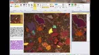 Image Pro Premier Segmentation