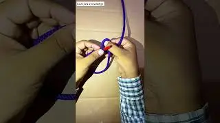 Essential Knot Every Beginner Should Know