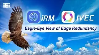 IEI Eagle-eye View of Edge Redundancy