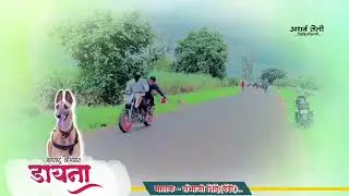 Dayna Racing Club || Greyhound dog ❤️&zwj;🔥💯|| Dog race ||  श्वान शर्यत ||  #vairalvideo
