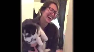 FUNNY Animals | Ems Saturinas Campbell | Val Campbell | I am proud pinay
