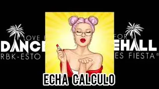 Echa C&aacute;lculo - LOVE FOR DANCEHALL Remix🥵📝