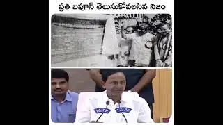 ys Jagan whatsapp status