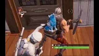 Pet a teammates Pet -  Fortnite Season 10 Team Spirit Challenges