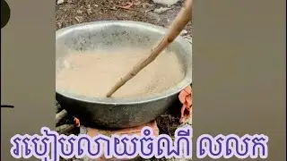 របៀបលាយចំណីអោយលលកសុី ឆាប់ធំធាត់ល្អ