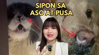 First aid ⛑️ SIPON SA ASO AT PUSA