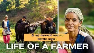 Sunday असला तरी शेतकऱ्याला सुट्टी नाही🥹life of farmer farmer life shetkaryache jivan shatakari jivan