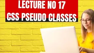 CSS Pseudo-Classes Selectors Tutorial in Hindi/Urdu