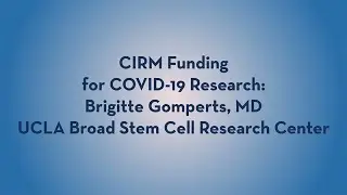 CIRM-Funded COVID-19 Research - Brigitte Gomperts - UCLA Broad Stem Cell Research Center