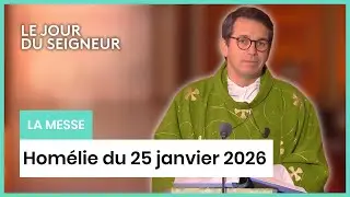 Homélie du 25 janvier 2026 | Filets déchirés, filets réparés