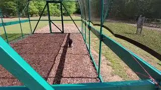 New High Tunnel Greenhouse - Back To Eden Method For Inground And Container Planting