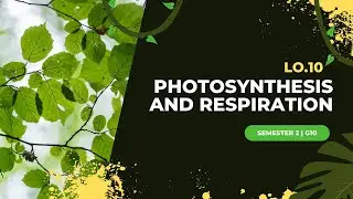 Biology LO.10 | STEM G10 | Semester 2