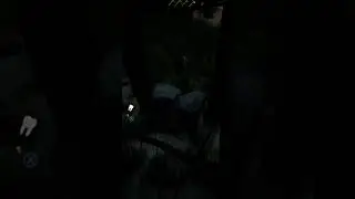 #theforest #scary #shorts