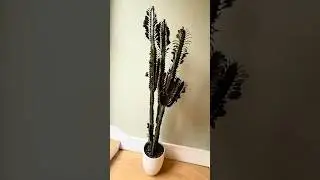 Euphorbia Trigona (African Milk Tree) Propagation 🌵It&rsquo;s easier than you think 🌿