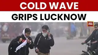 Uttar Pradesh: Foggy Mornings in Lucknow | Residents Warm up by Bonfires | India Today News
