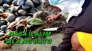 CLAMSHELLS/HINDI MO SILA MAPAPANSIN  SA UNANG TINGIN/BUHAY PROBINSYA