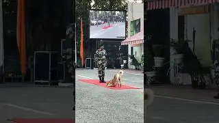 BSF Dog training #bsf #nsg #crpf #cisf #army