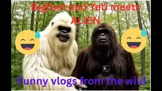 Bigfoot and Yeti meets Alien - vlog adventures (AI VEO3)