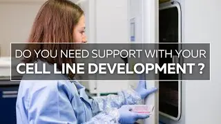 Do you need support with you Cell Line Development? - Rodon Biologics