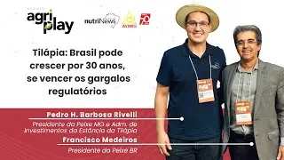 Til&aacute;pia: Brasil pode crescer por 30 anos, se vencer os gargalos regulat&oacute;rios