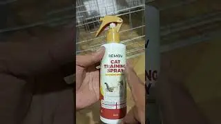 remov cat training spray untuk usir kucing liar #removcattrainingspray #shortvideo #kucing