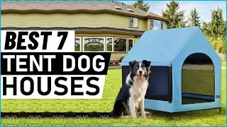 Top 7 Best Tent Dog Houses in 2025