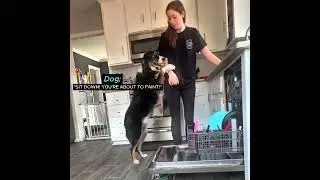 She has the best helper in the world 🥹 #shorts